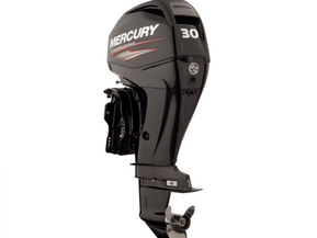 Mercury F30 ELPT EFI