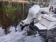 Bayliner Muu malli