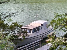 Albatross 29