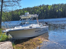 Bayliner Muu malli
