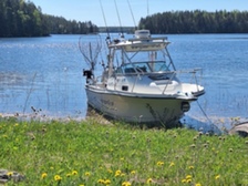 Bayliner Muu malli