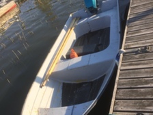 Finnspeed 