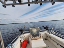 Bayliner Muu malli