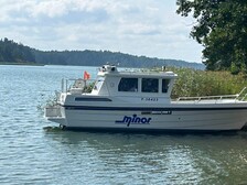 Minor Muu malli