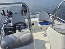 Silver Fox R 485
