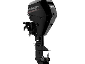Mercury F20 ELPT EFI