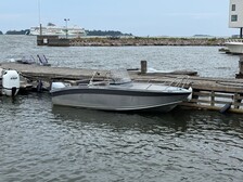 Silver Wolf Avant 510