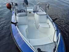 Silver Fox R 485