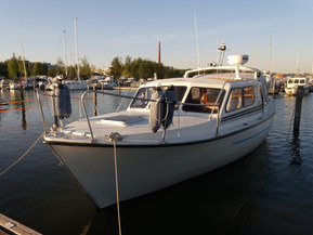 Albatross Flying 870