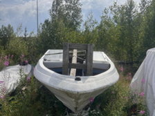 Bayliner 1950 Capri