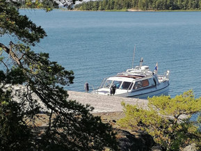 Albatross Flying 870