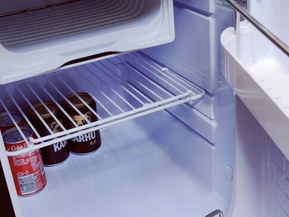 Albatross Flying 870