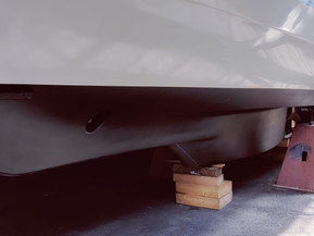 Albatross Flying 870