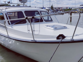 Albatross Flying 870