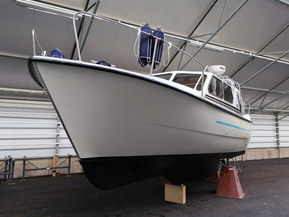 Albatross Flying 870