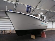 Albatross Flying 870