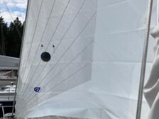 Maestro 35