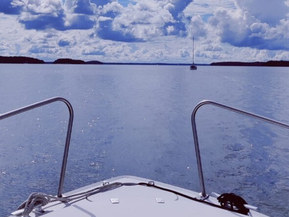 Albatross Flying 870