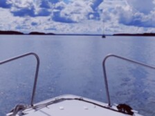Albatross Flying 870