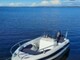 Finnmaster 4902 CLX