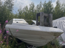 Bayliner 1950 Capri
