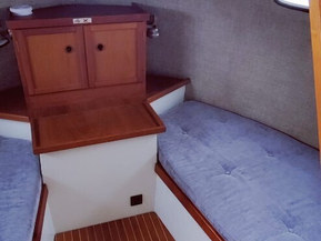 Albatross Flying 870