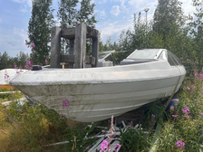 Bayliner 1950 Capri