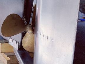 Albatross Flying 870