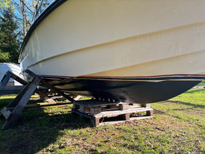 Marino 
