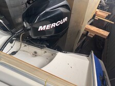 Silver Beaver 450