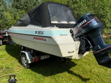 Yamaha F115BETL