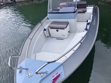 Silver Fox Avant 485