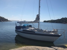 Sunwind 26