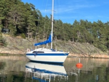 Sunwind 26
