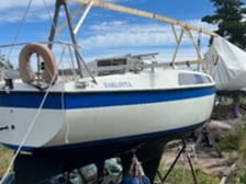 Sunwind 26