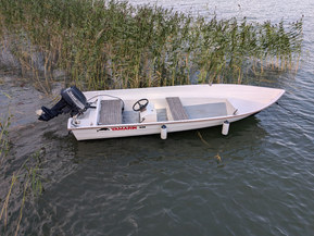 Yamarin 440 Big Fish