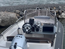 Silver Fox Avant 485
