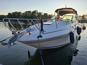 Sea Ray 275 Sundancer