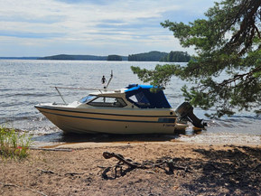 Jänmarin 