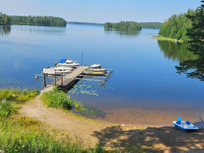 Jänmarin 