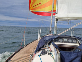 Finn Flyer 31