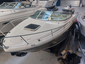 Sea Ray 215 Weekender