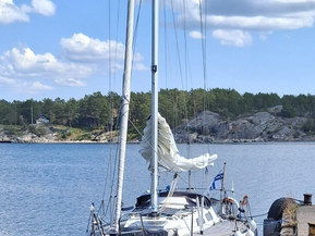 Finn Flyer 31