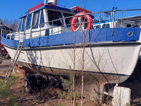 Omavalmiste Muu malli