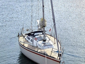 Finn Flyer 31
