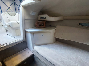 Sea Ray 215 Weekender