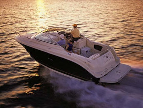Sea Ray 250 Amberjack