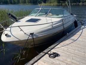Sea Ray 215 Express Cruiser