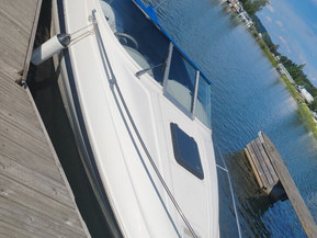 Bayliner 