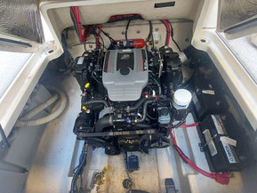 Sea Ray 250 Amberjack